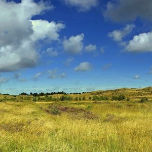 Preview wallpaper summer, field, grass, clouds, sky