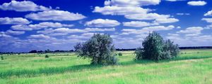 Preview wallpaper summer, field, grass, trees, clouds, sky