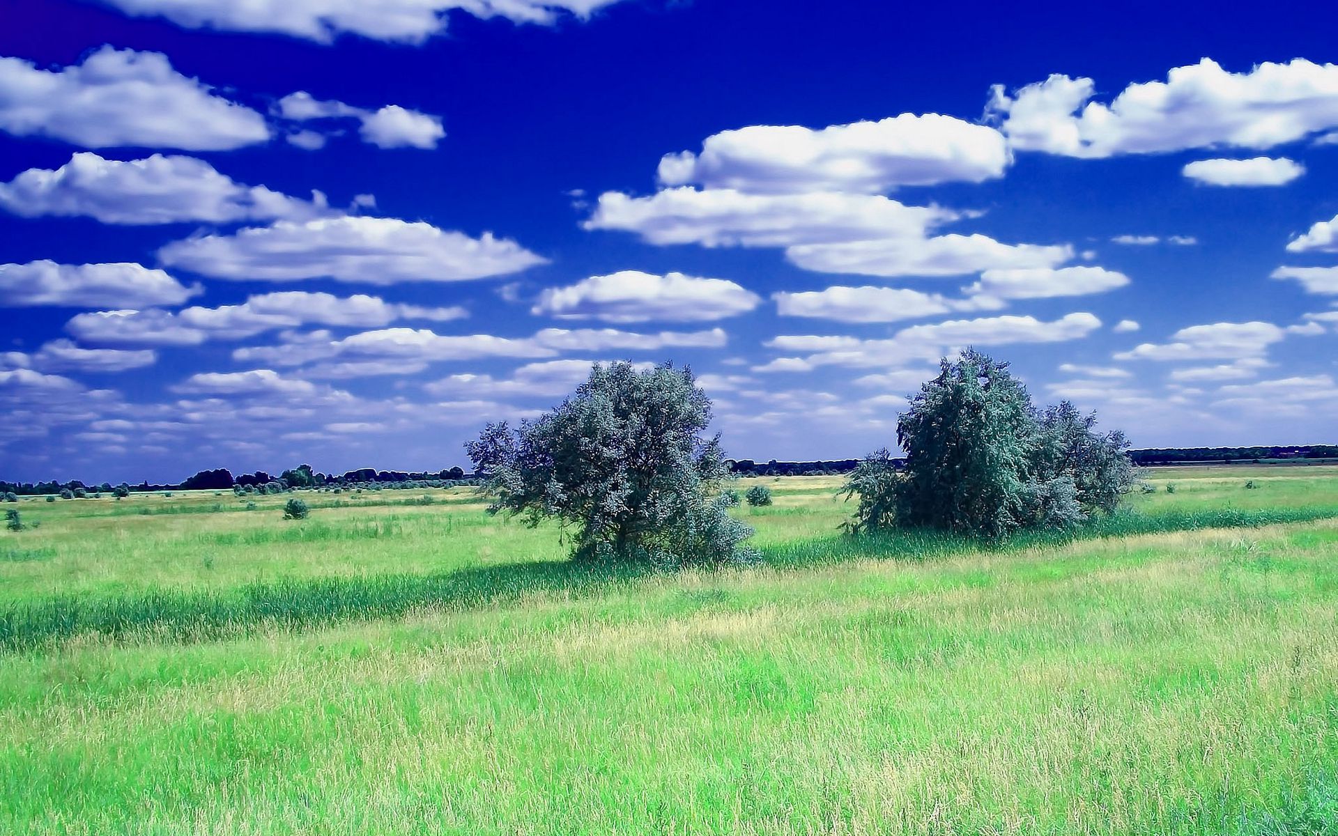 1920x1200 Wallpaper summer, field, grass, trees, clouds, sky