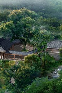 Preview wallpaper summer, lodges, china, garden, pond, from above, haze