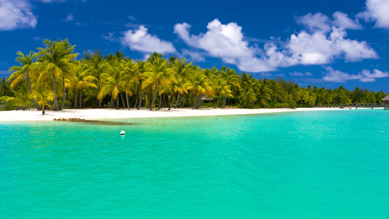 Wallpaper summer, maldives, tropical, beach, palm trees
