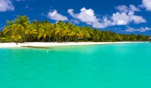 Preview wallpaper summer, maldives, tropical, beach, palm trees