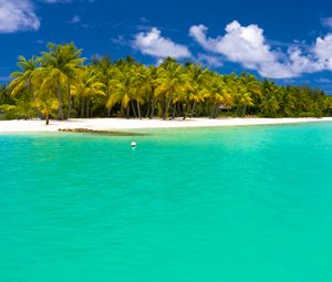 Preview wallpaper summer, maldives, tropical, beach, palm trees