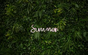 Preview wallpaper summer, vegetation, inscription, plants, greenery