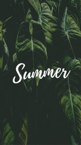 Summer Iphone 8 7 6s 6 For Parallax Wallpapers Hd Desktop Backgrounds 938x1668 Images And Pictures