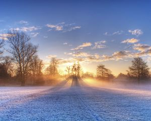 Preview wallpaper sun, beams, field, football, gate, hoarfrost, frosts