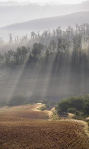 Preview wallpaper sun, beams, fog, morning, field, hills