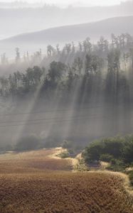 Preview wallpaper sun, beams, fog, morning, field, hills