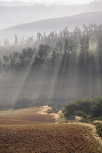 Preview wallpaper sun, beams, fog, morning, field, hills