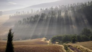 Preview wallpaper sun, beams, fog, morning, field, hills