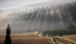 Preview wallpaper sun, beams, fog, morning, field, hills