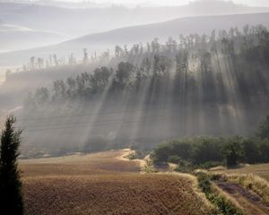 Preview wallpaper sun, beams, fog, morning, field, hills