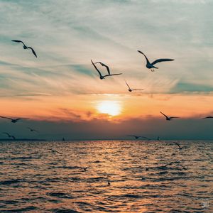 Preview wallpaper sun, bird, horizon, sea, sky