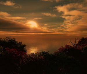 Preview wallpaper sun, coast, bushes, evening, clouds, sea