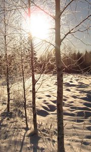 Preview wallpaper sun, day, birches, number, road, house, snow