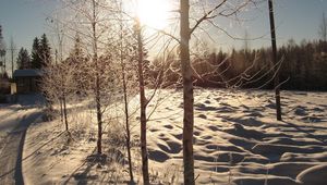 Preview wallpaper sun, day, birches, number, road, house, snow