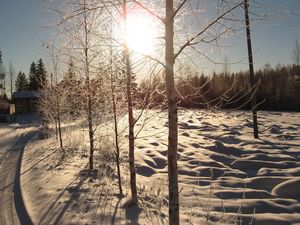 Preview wallpaper sun, day, birches, number, road, house, snow