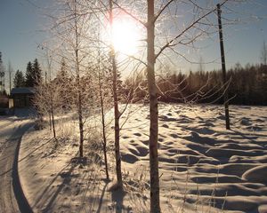 Preview wallpaper sun, day, birches, number, road, house, snow
