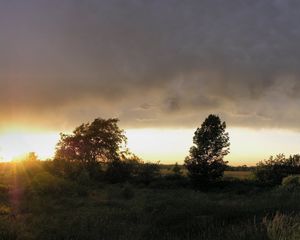 Preview wallpaper sun, decline, glade, trees, horizon, outline, despondency, evening