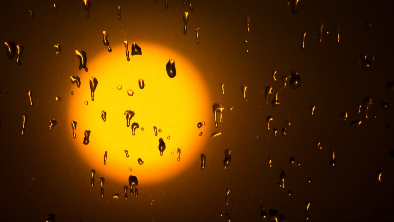 Wallpaper sun, drops, glass, glare