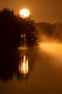 Preview wallpaper sun, fog, trees