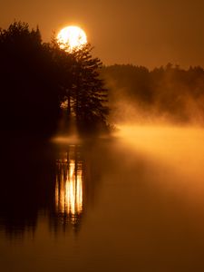 Preview wallpaper sun, fog, trees