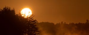 Preview wallpaper sun, fog, trees
