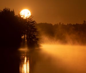 Preview wallpaper sun, fog, trees