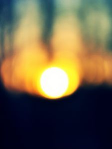 Preview wallpaper sun, forest, sunset, trees