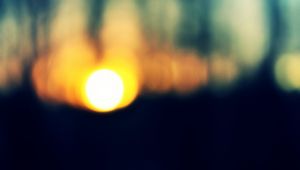 Preview wallpaper sun, forest, sunset, trees