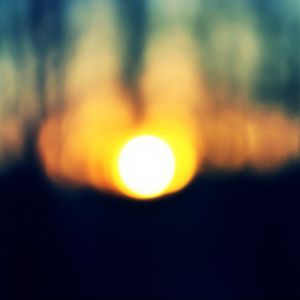 Preview wallpaper sun, forest, sunset, trees
