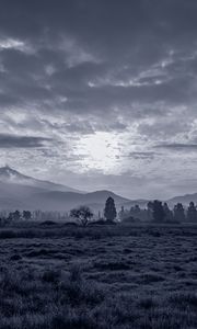 Preview wallpaper sun, grass, bw, hills, trees