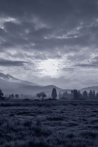 Preview wallpaper sun, grass, bw, hills, trees