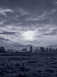 Preview wallpaper sun, grass, bw, hills, trees