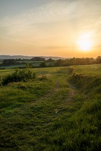 Preview wallpaper sun, grass, road, distance