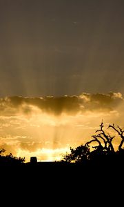 Preview wallpaper sun, light, beams, sky, clouds, outlines