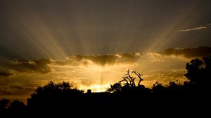 Preview wallpaper sun, light, beams, sky, clouds, outlines