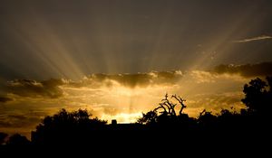 Preview wallpaper sun, light, beams, sky, clouds, outlines