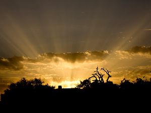 Preview wallpaper sun, light, beams, sky, clouds, outlines