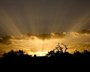 Preview wallpaper sun, light, beams, sky, clouds, outlines