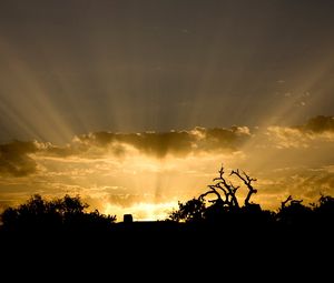 Preview wallpaper sun, light, beams, sky, clouds, outlines