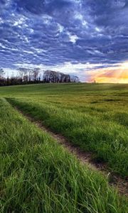 Preview wallpaper sun, light, beams, grass, field, road, traces, clouds, layer, evening, orange