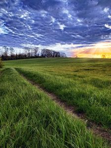 Preview wallpaper sun, light, beams, grass, field, road, traces, clouds, layer, evening, orange