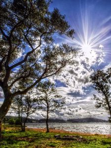Preview wallpaper sun, light, clouds, colors, trees, coast, grass, green, spring