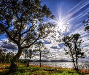 Preview wallpaper sun, light, clouds, colors, trees, coast, grass, green, spring