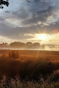 Preview wallpaper sun, light, morning, field