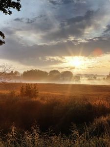 Preview wallpaper sun, light, morning, field