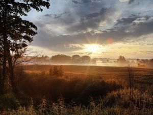 Preview wallpaper sun, light, morning, field