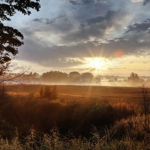 Preview wallpaper sun, light, morning, field