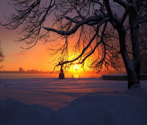 Preview wallpaper sun, light, sunset, trees, snow, winter